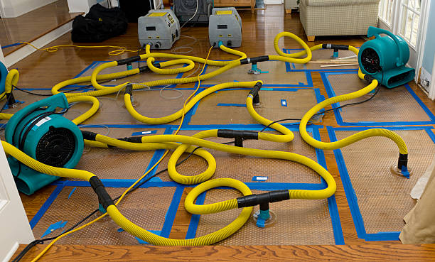 Professional Crawl Space Water Removal technician working in Ogema, MN